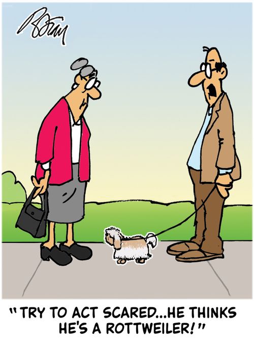 "Try to act scared...he thinks he's a Rottweiler!"
