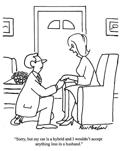 'Sorry, but my car is a hybrid and I wouldn't accept anything less in a husband.'