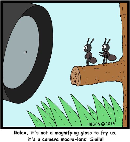 "Relax, it's not a magnifying glass to fry us, it's a camera macro-lens: Smile!"
