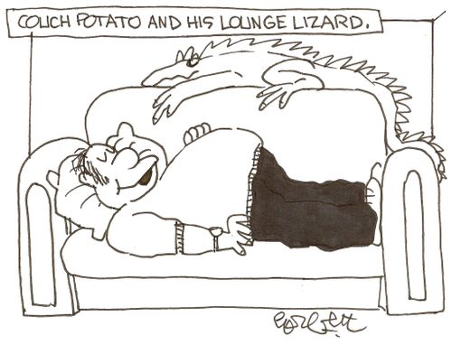 Couch potato and his lounge lizard.