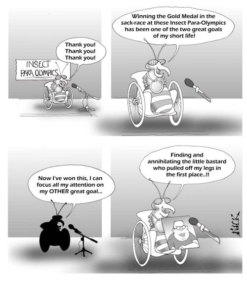 Insect Para-Olympics