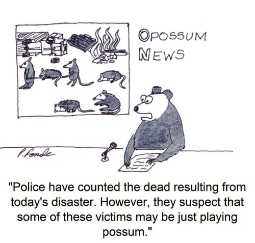 'Police have counted the dead resulting from today's disaster. However, they suspect that some of these victims may be just playing possum.'