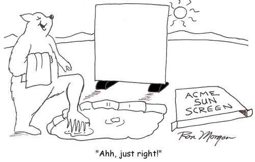 Polar Bear blocks sun from shining on water to make it just right for a bath.
