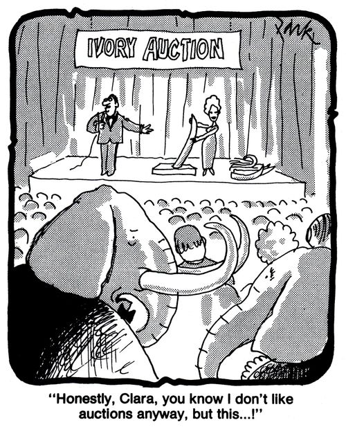 'Honestly, Clara, you know I don't like auctions anyway, but this...!'