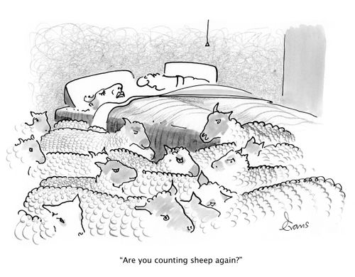 'Are you counting sheep again?'