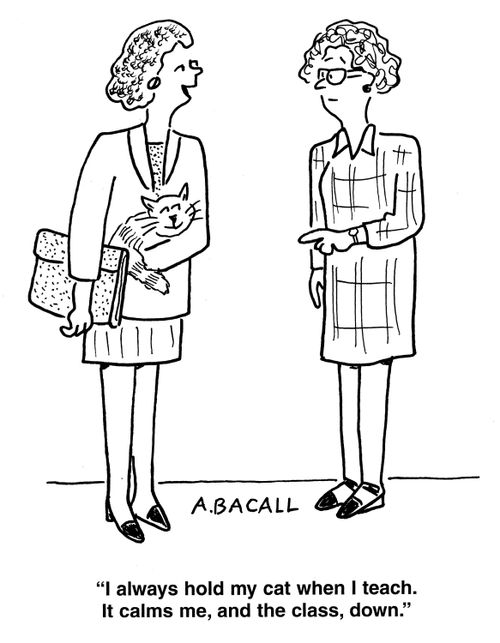 'I always hold my cat when I teach. It calms me, and the class, down.'