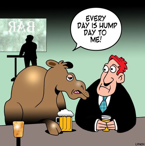 "Every day is hump day to me!"