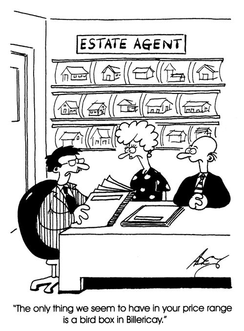 "The only thing we seem to have in your price range is a bird box in Billericay."