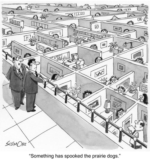 'Something has spooked the prairie dogs.'
