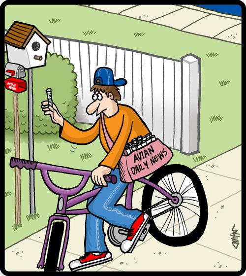 Paperboy delivers the Avian news to his bird customers.