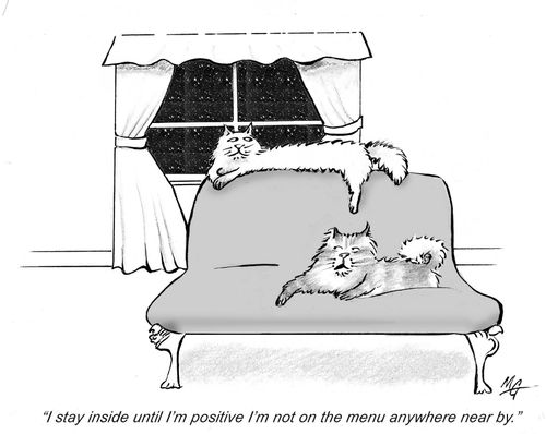 'I stay inside until I'm positive I'm not on the menu anywhere near by.'