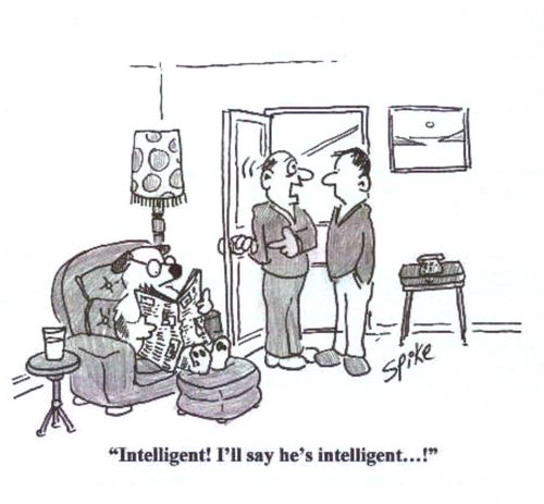 'Intelligent! I'll say he's intelligent!'