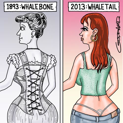 Whalebone - Whaletail.