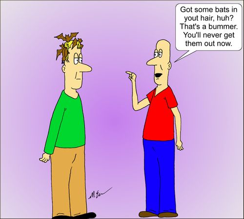 "Got some bats in your hair, huh? That's a bummer. You'll never get out now."