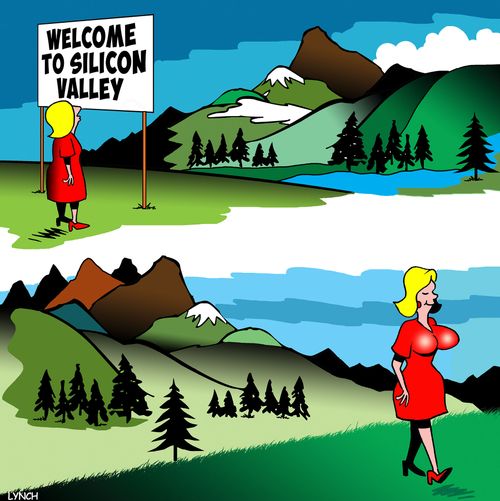 Welcome to Silicon Valley