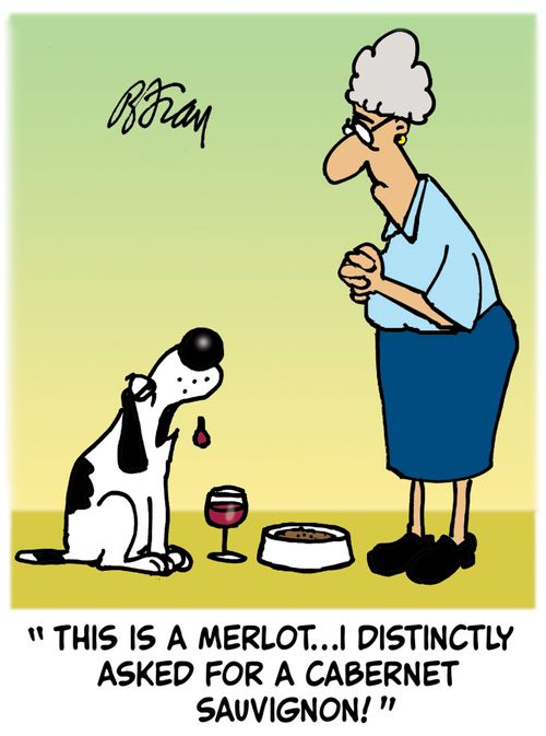 'This is is a Merlot...I didstinctly asked for a Cabernet Sauvignon! '