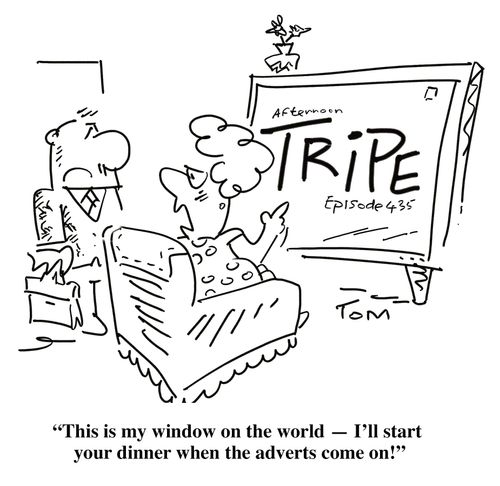 'This is my window on the world - I'll start your dinner when the adverts come on!'
