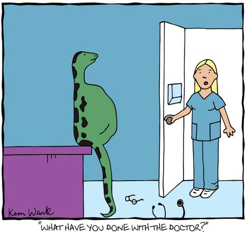 "What have you done with the doctor?"