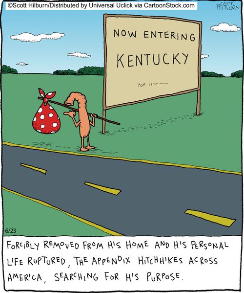 Forcibly removed from his home and his personal life ruptured, the appendix hitchhikes across america, searching for his purpose.