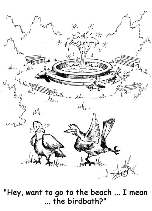 'Hey, want to go to the beach ...I mean ...the birdbath?'