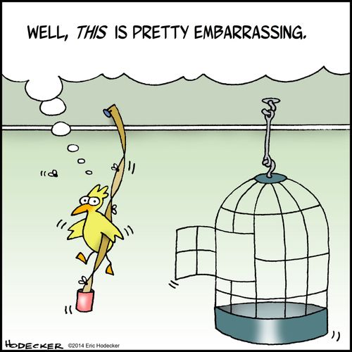 "Well, this is pretty embarrassing."