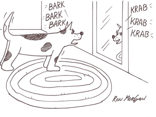 Dog barks at himself in a mirror.