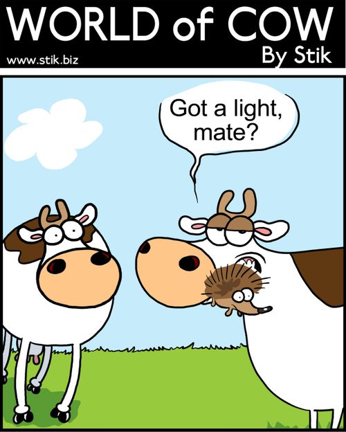 Got a light mate?