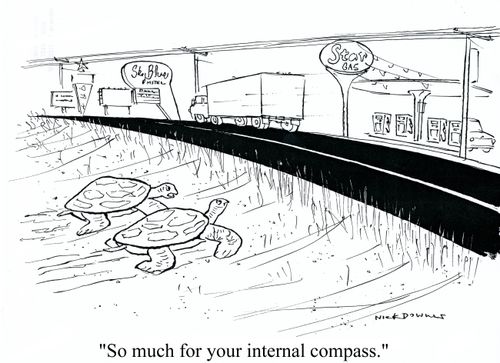 'So much for your internal compass.'