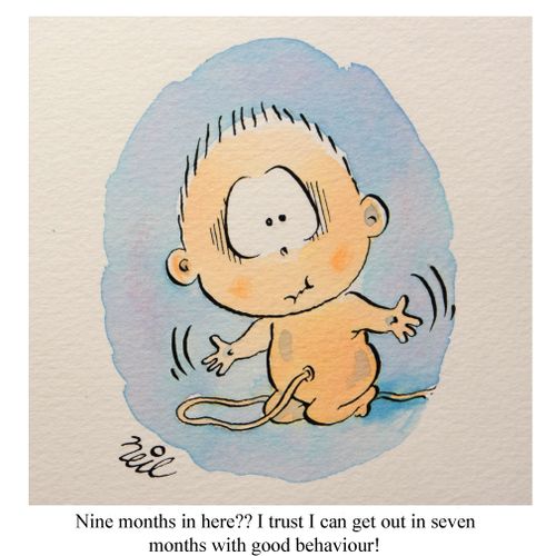 "Nine months in here?? I trust I can get out in seven months with good behaviour!"