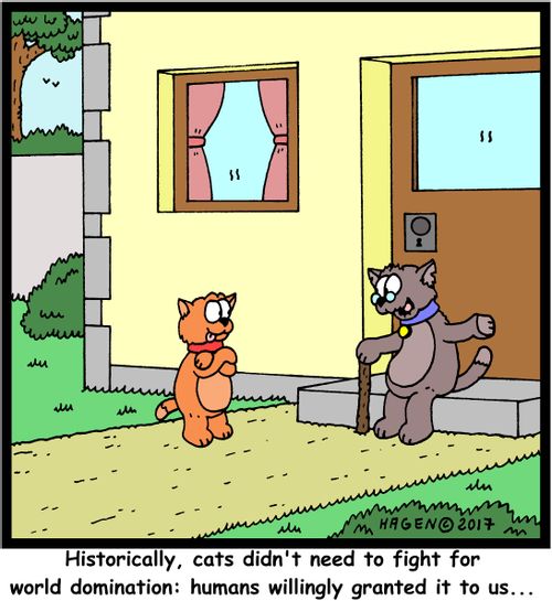 "Historically, cats didn't need to fight for world domination: humans willingly granted it to us..."
