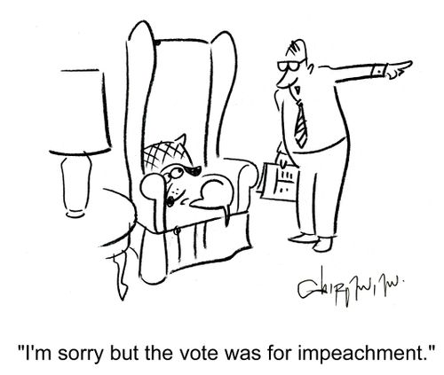 'I'm sorry but the vote was for impeachment.'