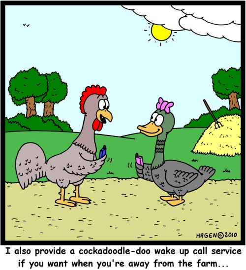 'I also provide a cockadoodle-doo wake up call service if you want when you're away from the farm...'