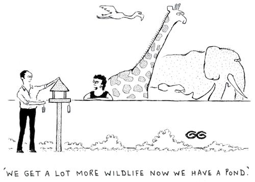 'We get a lot more wildlife now we have a pond.'