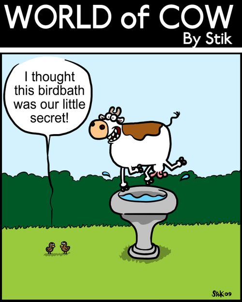 I thought this birdbath was our little secret!
