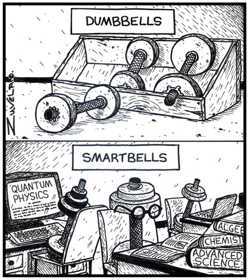 DumbbellsSmartbells.