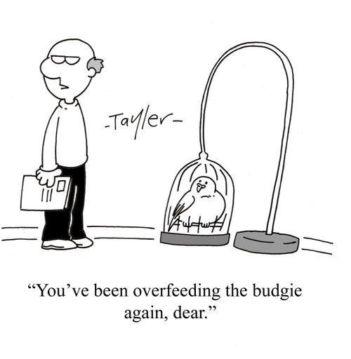 'You've been overfeeding the budgie again, dear.'