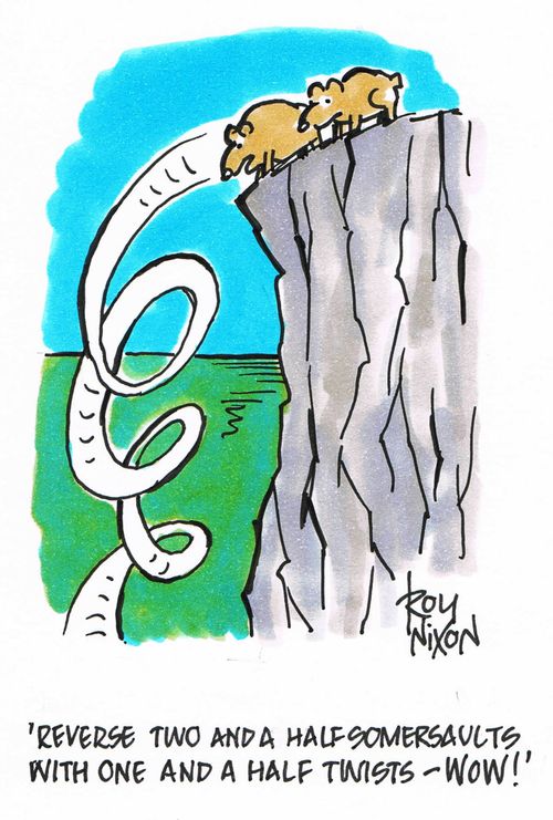 "Reverse two and a half somersaults with one and a half twists - WOW!"