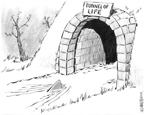 Tunnel of Life with shark fin entering.