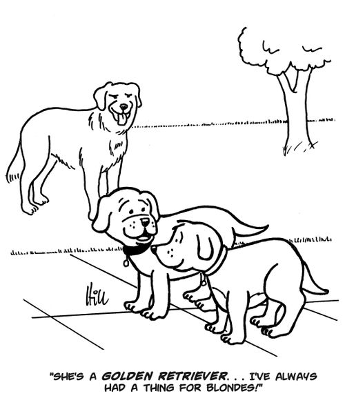 "She's a golden retriever...I've always had a thing for blondes!"