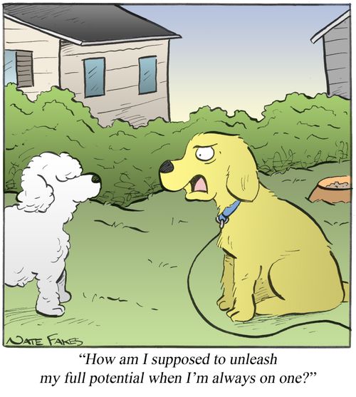 "How am I supposed to unleash my full potential when I'm always on one?"