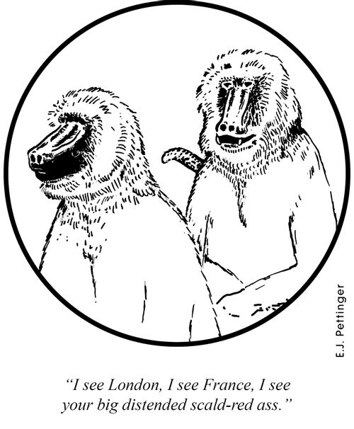 'I see London, I see France, I see your big distended scald-red ass.'