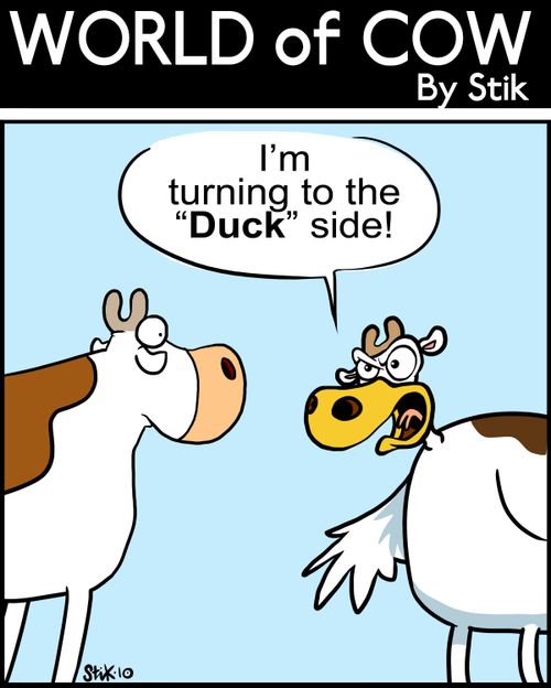 I'm turning to the 'Duck' side!
