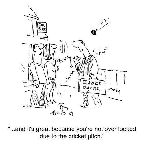 'And it's great because you're not over looked due to the cricket pitch.'