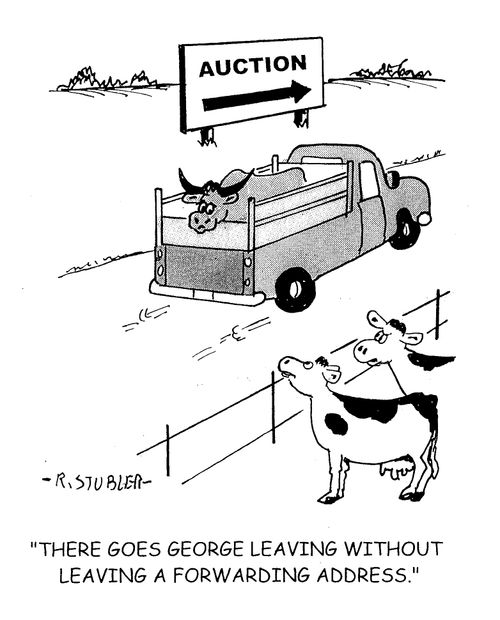 'There goes George leaving without leaving a forwarding address.'