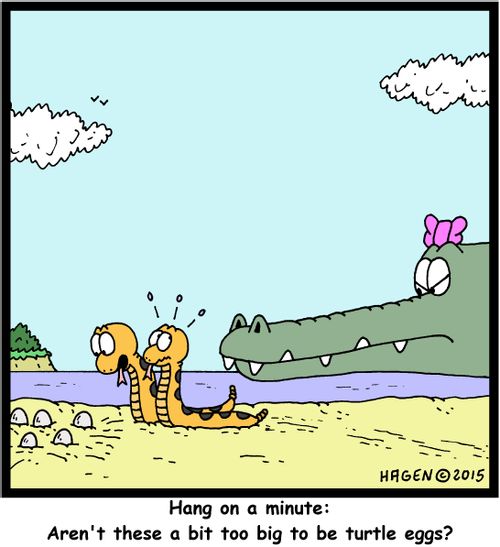 "Hang on a minute: Aren't these a bit too big to be turtle eggs?"