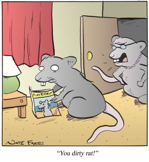 'You dirty rat!'