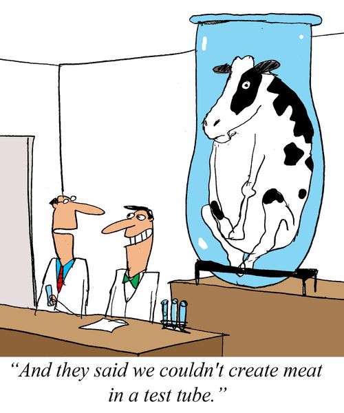 'And they said we couldn't create meat in a test tube.'