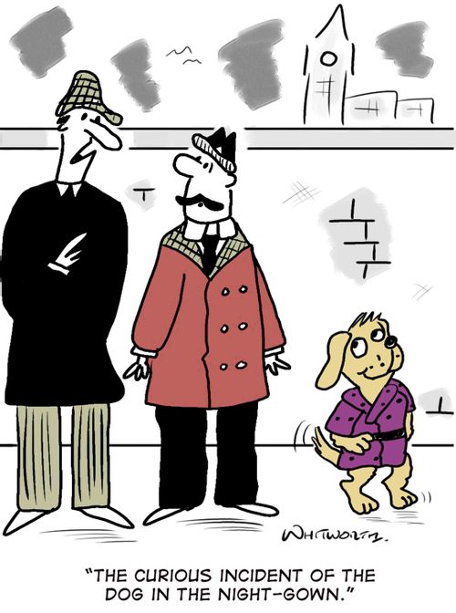 'The curious incident of the dig in the night-gown.'