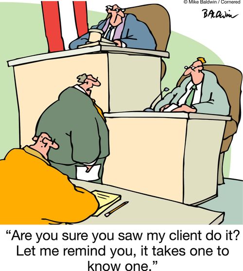 'Are you sure you saw my client do it? Let me remind you, it takes one to know one.'