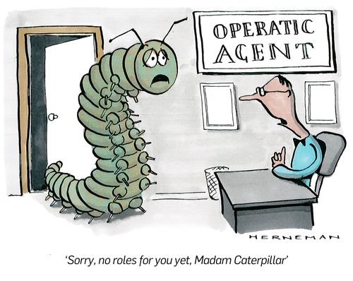 'Sorry, no roles for you yet, Madam Caterpillar,'